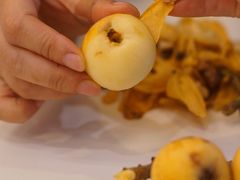 -塘栖枇杷特色园区