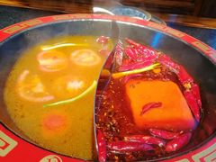 -海底诱惑(中骏世界城店)