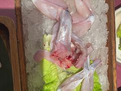 -九鼎轩脆毛肚火锅(三钢里店)