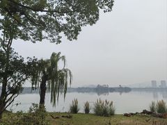 -蠡湖中央公园