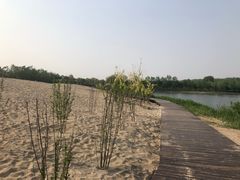 -东郊湿地公园