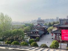 -诺亚国际英语(海逸校区)