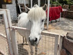 -J Create城市露营咖啡·简餐·宠物(上海动物园店)