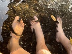 -融汇温泉