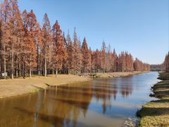 -黄海国家森林公园