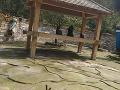 -贵州森林野生动物园