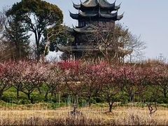 -上海海湾国家森林公园