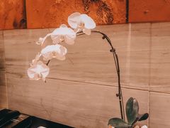 -重庆富力艾美酒店