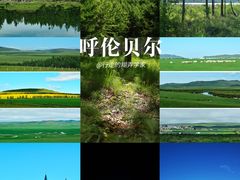 -呼和诺尔旅游景区