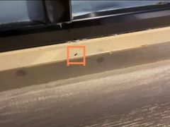 -柏曼酒店(合肥国购广场三里庵地铁店)