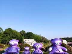 -大塘金香草谷