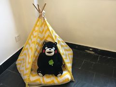 -阿狗圆子