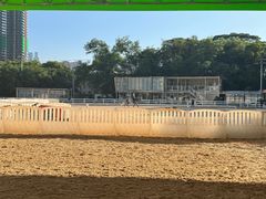 -名驭国际马术学院