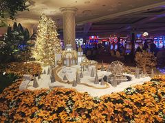 -拉斯维加斯永利酒店