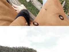 -关山草原