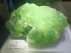 -湖南省地质博物馆