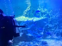-嘉兴海底世界