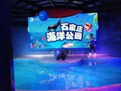 -石家庄海洋公园