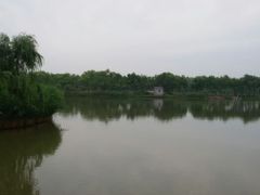 android_upload_pic-稻香湖景酒店