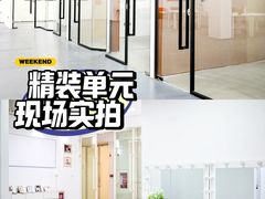 -T28PARK公园里