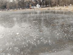 -青城公园