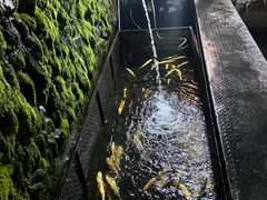 -京北渔家傲