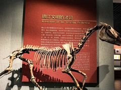-齐齐哈尔市博物馆
