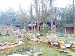 -杭州植物园