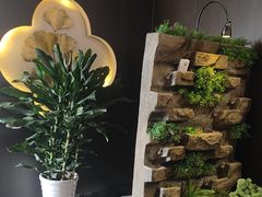 -晴川足道·商务水疗SPA(东郊记忆店)