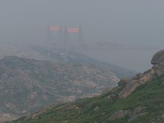 -洋山深水港