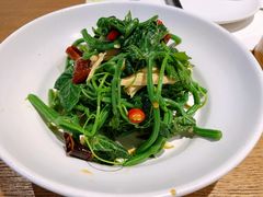 腐竹丝瓜尖-青梅酒肆PLUS(长白仙岛北路店)