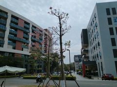 -福州大学(旗山校区)