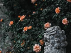 -老门东历史文化街区