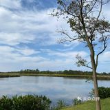 天空很蓝，云很干净，微风不燥，抛开烦恼，保持微笑[亲亲][亲亲][亲亲]