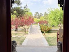 -晋祠公园
