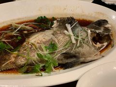-喜来登由由大酒店九州膳坊中餐厅