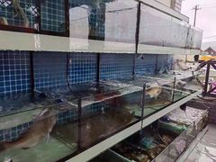 -阿伍海鲜大排档(塔湾金沙店)