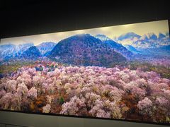 -罗红摄影艺术馆