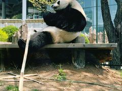 -大连森林动物园