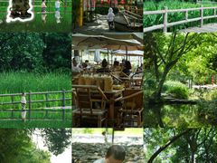 -成都市活水公园
