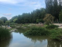 -大望京公园