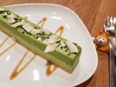 -柴务处·柴犬主题狗咖