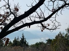 -北京十三陵国家森林公园蟒山景区