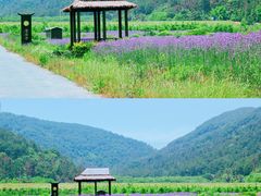 -九真山风景区