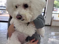-贝康宠物医院·犬猫全科·小动物特色诊疗中心(东环路店)
