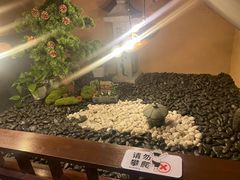 -千代武日本料理(爱建店)