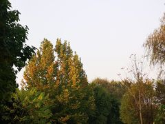 -北坞公园