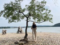 -东湖落雁景区