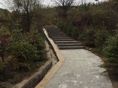 -五龙城郊森林公园