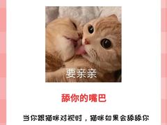 -lincat·猫舍(广州店)